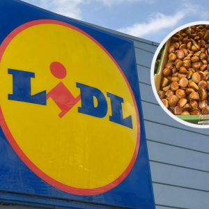 Kasztany w Lidlu