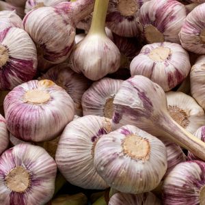 Przechowywanie czosnku