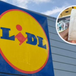 Ser Lidl