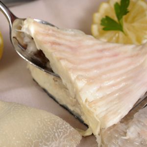 ryba turbot
