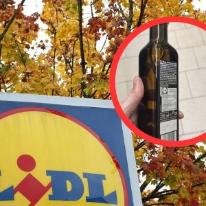 hazelnut seed oil z Lidla