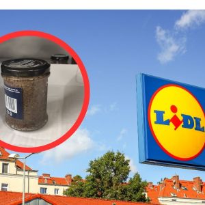 krem z pieczarek z truflami