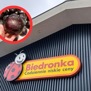 śliwki pluot w Biedronce