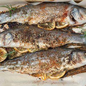 labraks - okoń morski