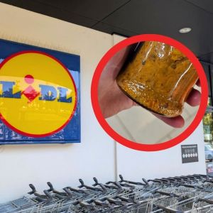 krem grzybowy z Lidla