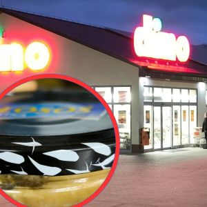 łosoś jalapeno z Dino