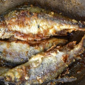 ryba taranka - vobla