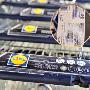 grecka chałwa z suszonymi owocami z Lidla