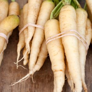 Biała marchew