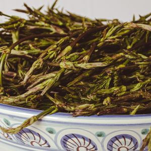 dzikie pędy chmielu jak szparagi