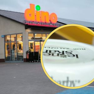 grzyby po kaszubsku z Dino