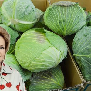młoda i wczesna kapusta Katarzyna Bosacka