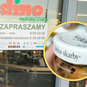 nadbużańskie grzyby z Dino