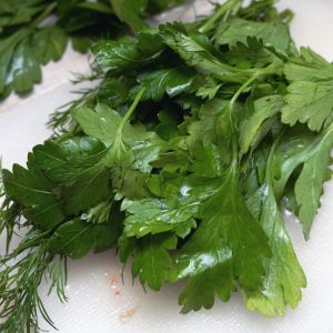 sposób na zwiedły koperek i natkę