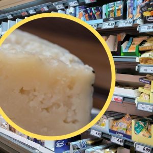 ser pecorino