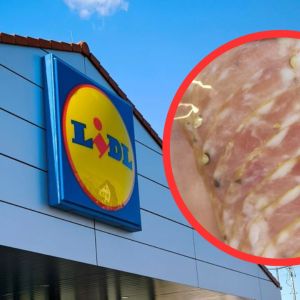 Lidl wędliny