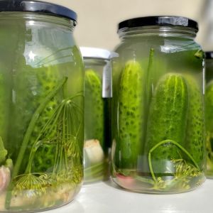 ogórki kiszone metodą węgierską