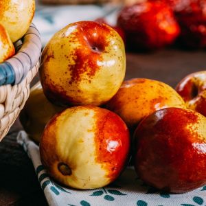 owoc jujube