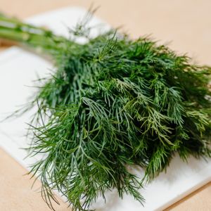 pęczek koperku