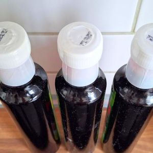 syrop z czarnej morwy