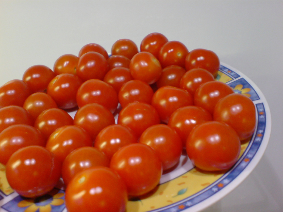 salatka_makaronowa_z_lososiem_i_pomidorkami
