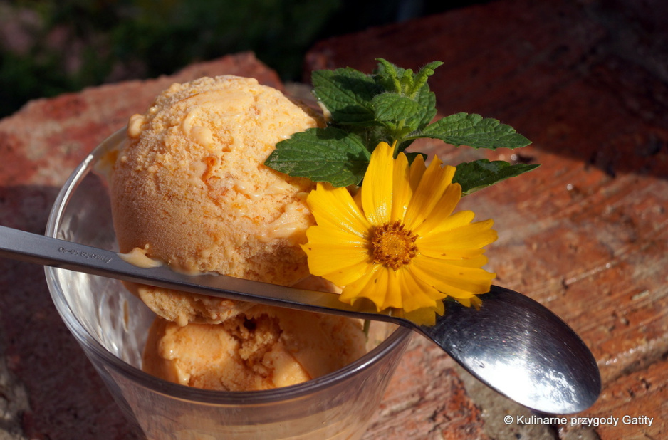 Domowe lody morelowe