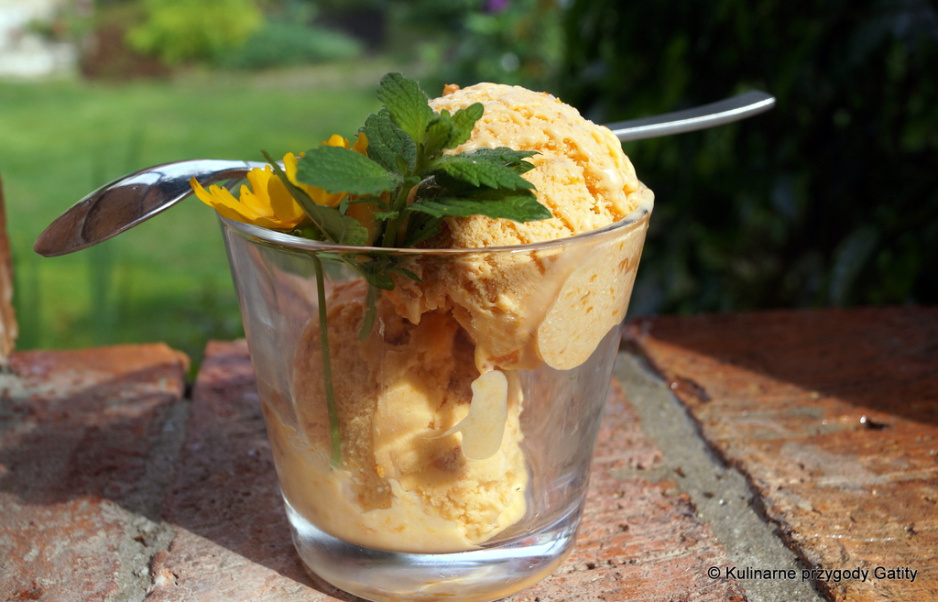 domowe_lody_morelowe