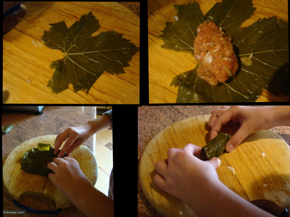 greckie_golabki_w_lisciach_winogron