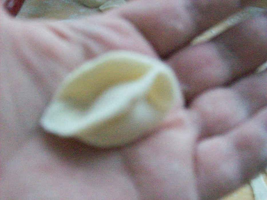 moje_gole_uszka_wigilijne