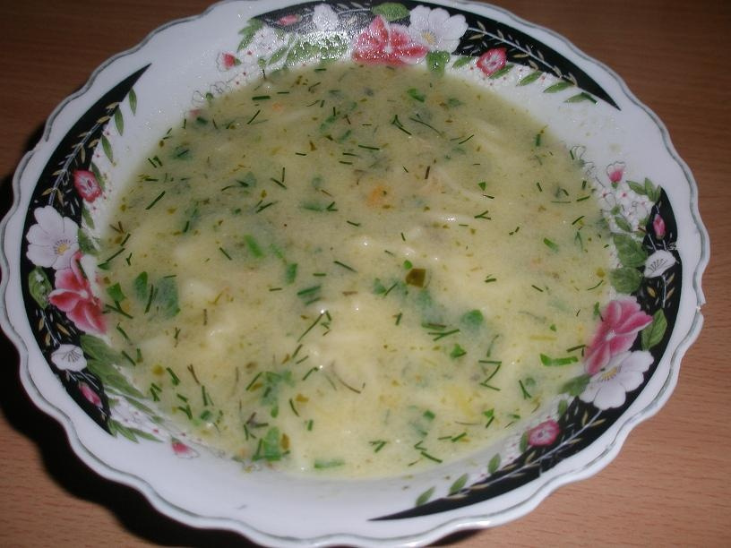 zupa ogórkowa z makaronem