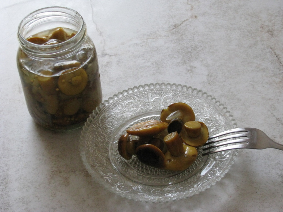 GRZYBKI MARYNOWANE Przepis na GRZYBKI MARYNOWANE Mojegotowanie.pl