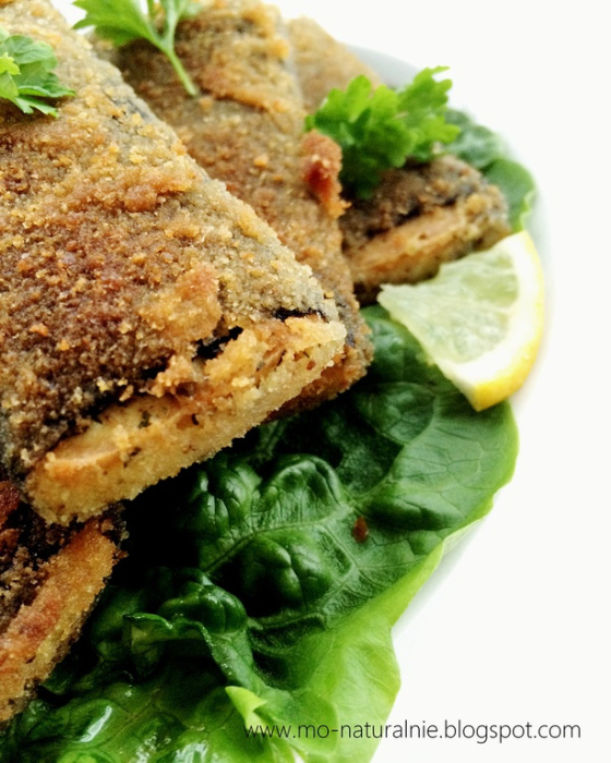 karpik_roslinny_czyli_tofurpik