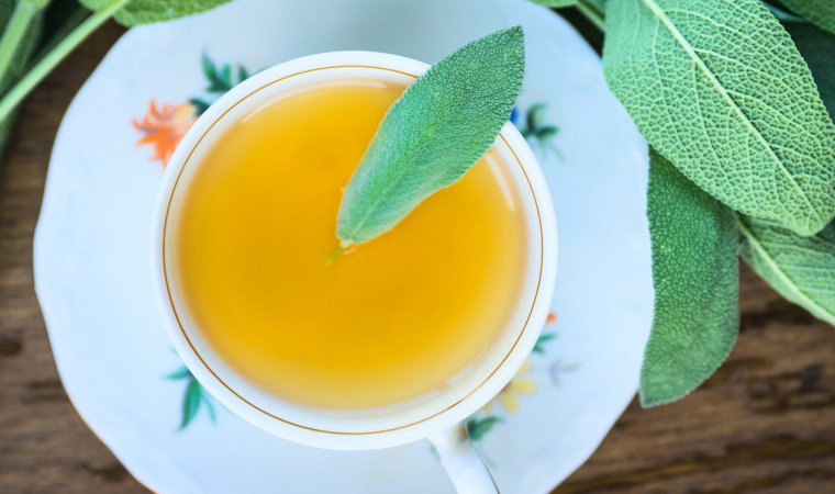 napar z szałwii właściwości