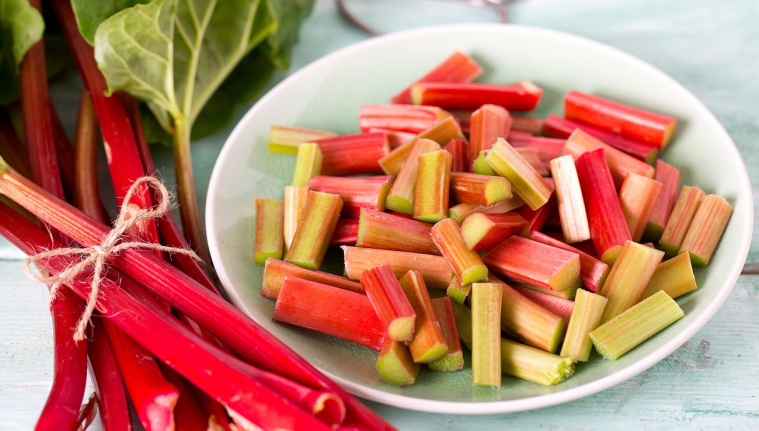 rabarbar właściwości