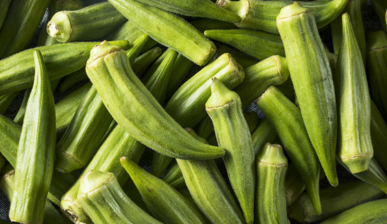 okra właściwości