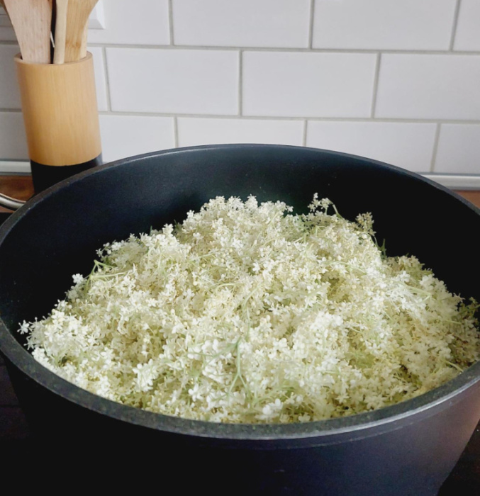 Sok z kwiatów czarnego bzu