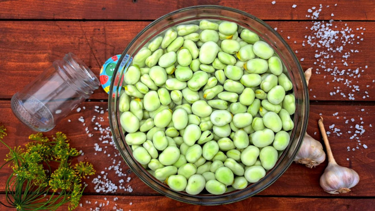 kiszony bób - krok 1