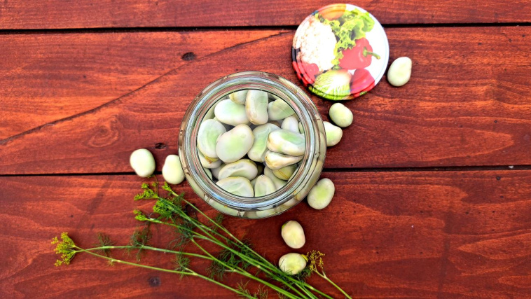 kiszony bób - krok 6