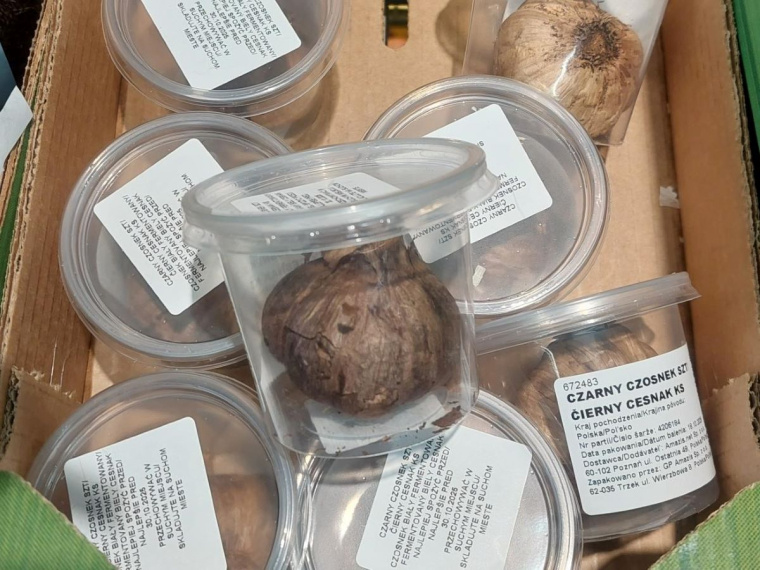 czarny czosnek foto oryginalne