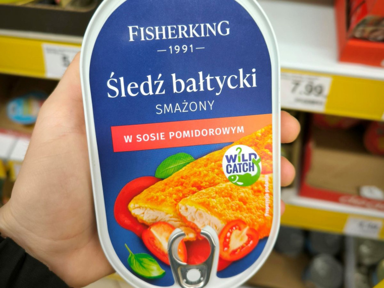 śledź bałtycki