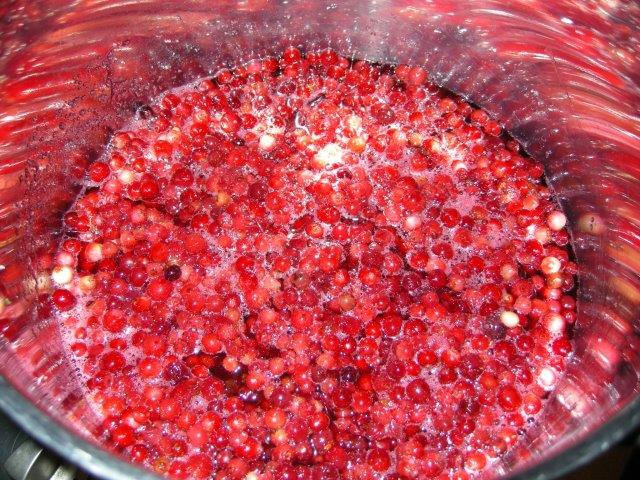 dzem_z_borowki_brusznicy