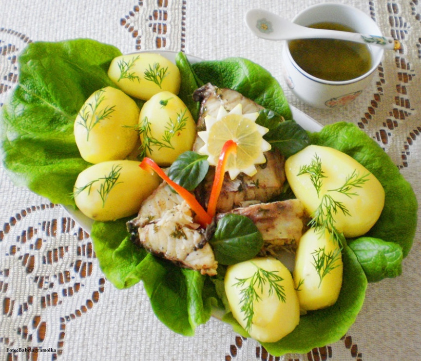 Miętus z koperkiem  :