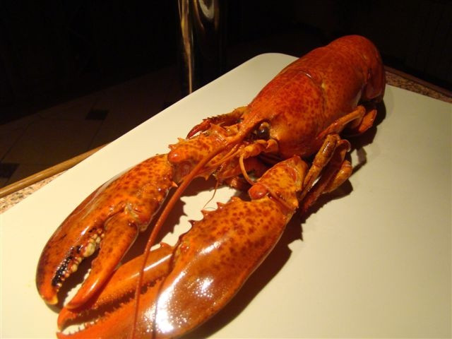 homar_pierwsze_starcie