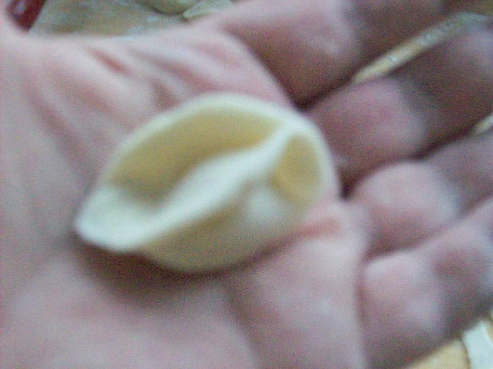 moje_gole_uszka_wigilijne