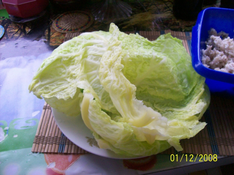 golabki_z_grzybami_i_ryzem