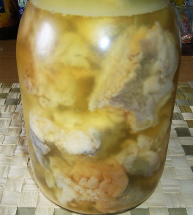 szczupak_i_wegorz_w_zalewie_wg_mojego_taty