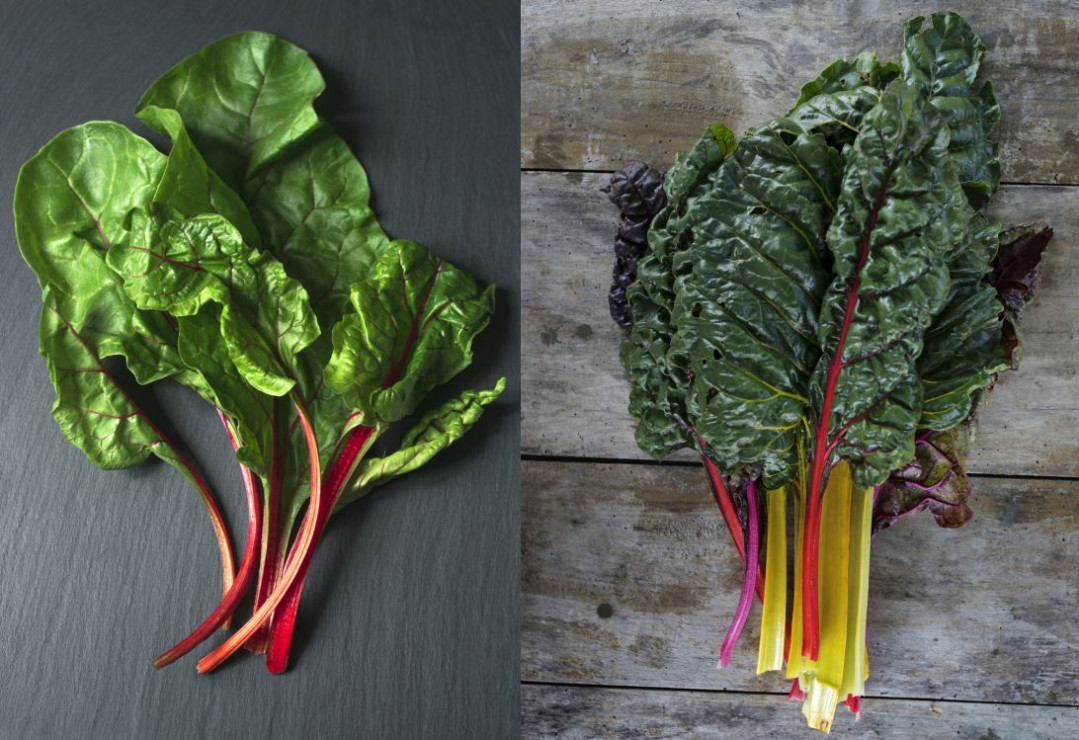 Botwina czy boćwina? Zagadka rozwiązana!