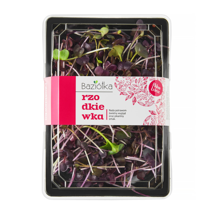 Rzodkiewka Baziółka