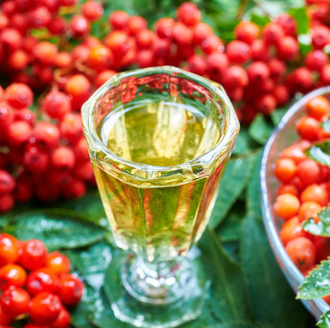 Nalewka z jarzębiny