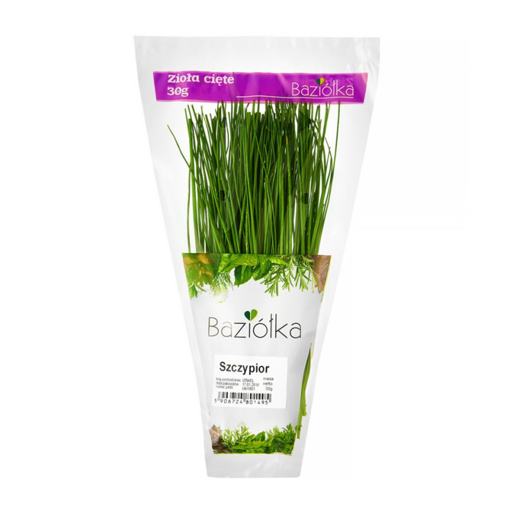 Baziółka szczypiorek cięty